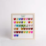 Cre8tion Acrylic Booklet - Jewel 42 colors