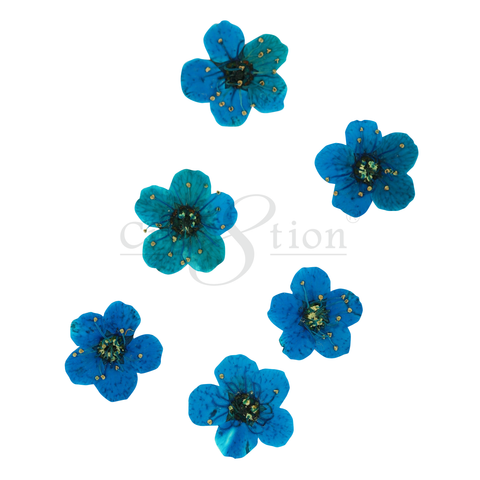 Cre8tion Nail Art Charms, Teal, B018 Cre8tion Nail Art Charms, Teal, B018