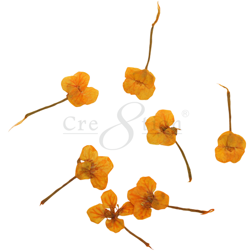 Cre8tion - Nail Art - Charms B060