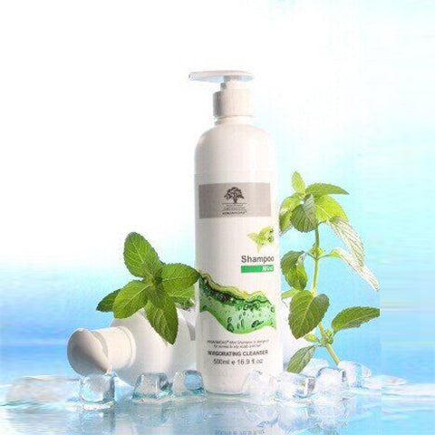 Arganmidas Fresh Mint Shampoo - Invigorating Cleanser - 16.9 Fl Oz (500ml)
