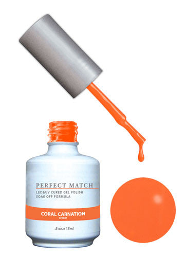 Perfect Match – Coral Carnation #97